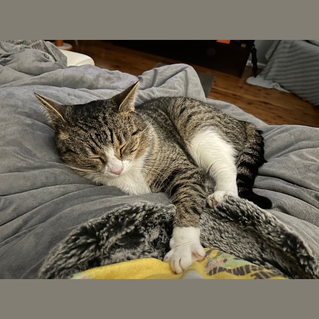 Photo of Reggie