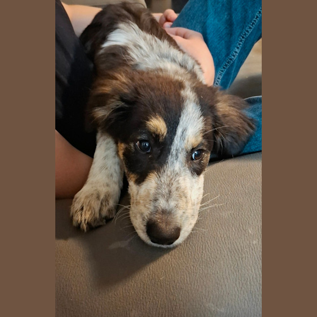 Photo of Polly