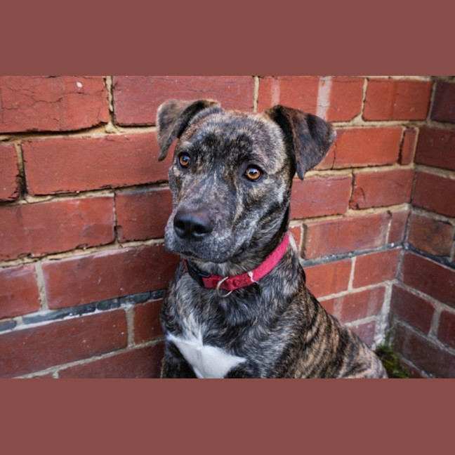 Photo of Benny Lozano