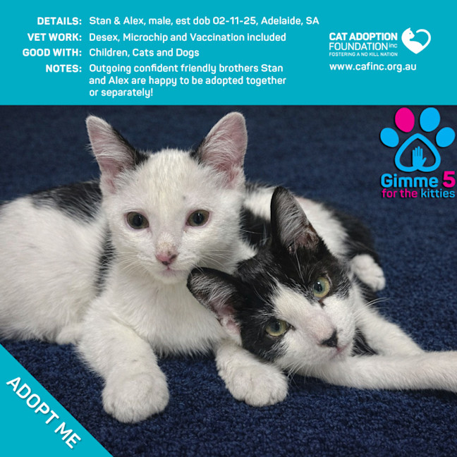 Photo of Stan & Alex