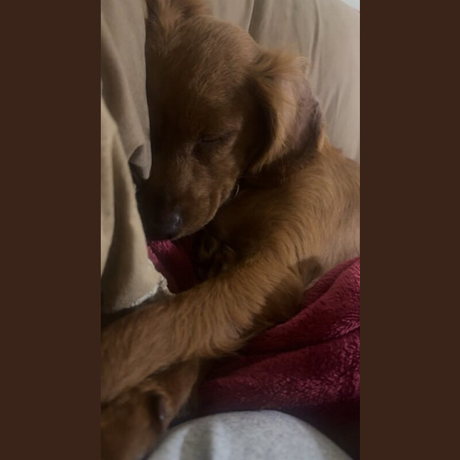 Photo of Willow Nee Xena