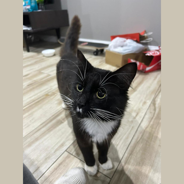 Photo of Kevin