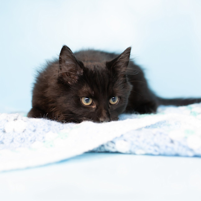 Photo of Albert Einstein