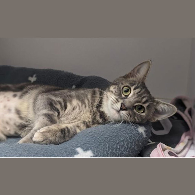 Photo of Meadow
