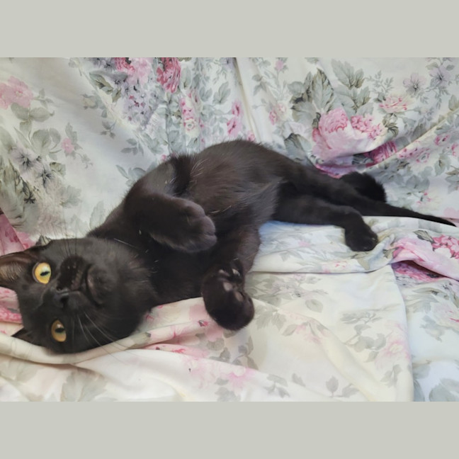 Photo of Pretzel 🥨