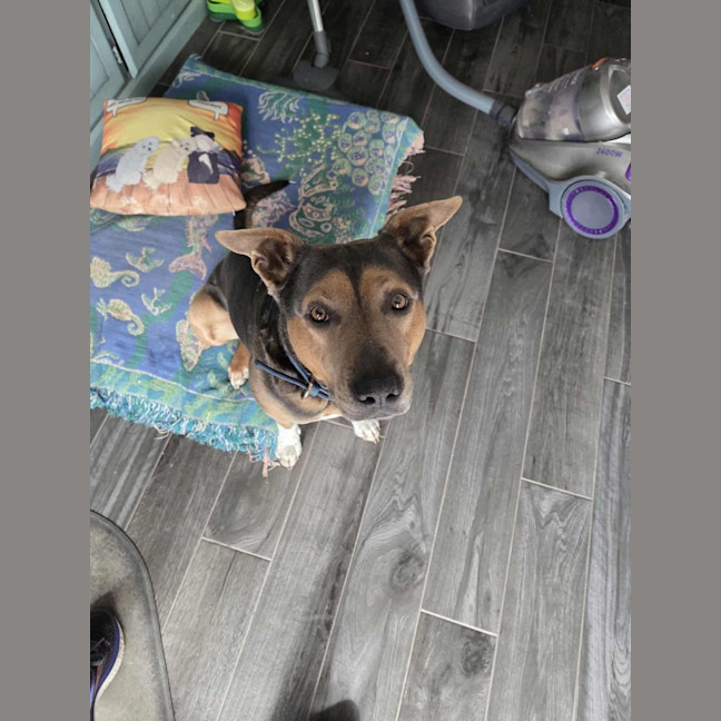 Photo of Blue