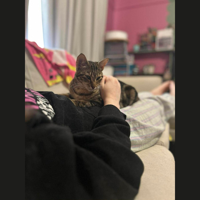 Photo of Glinda And Cruise