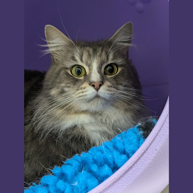 Photo of 🪁 Miles 5361  🪁