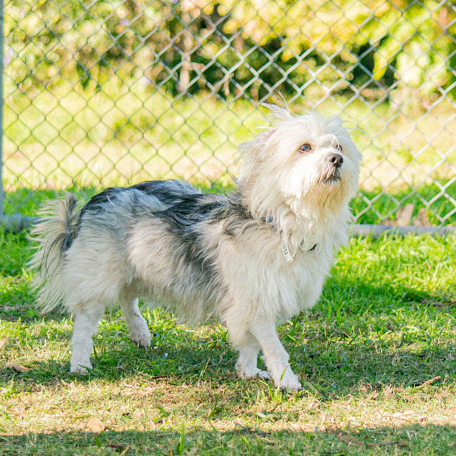 Photo of Rupert
