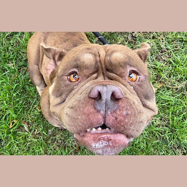 Photo of Hazel