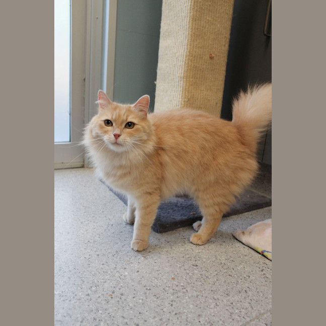 Photo of Amaretto!