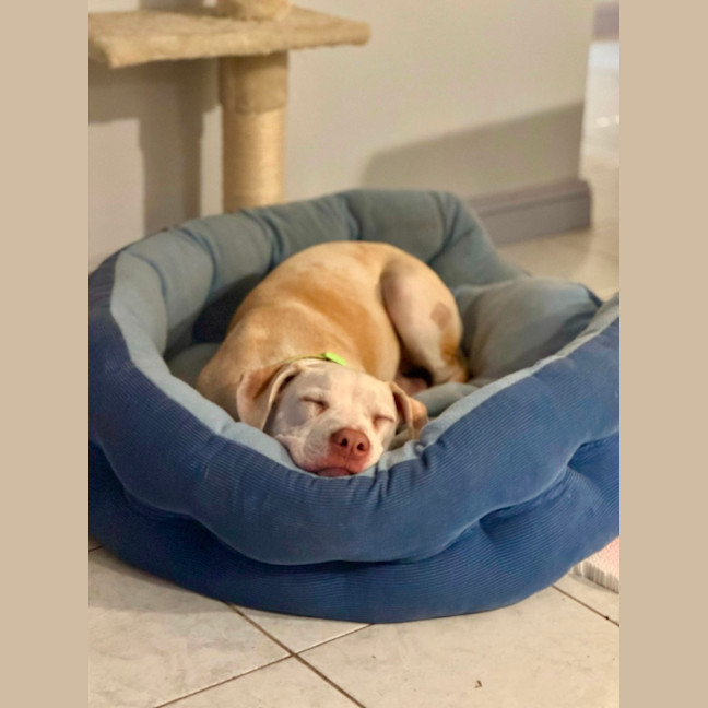 Photo of Titan