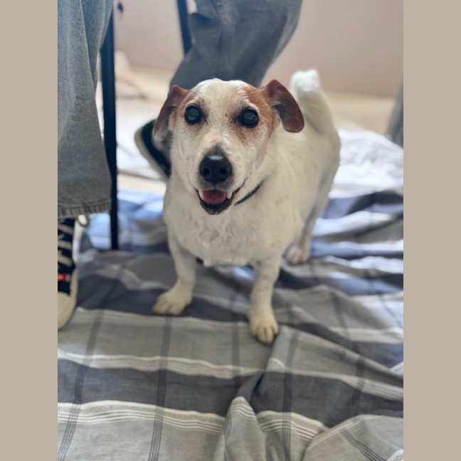 Photo of Choppa And Tiara