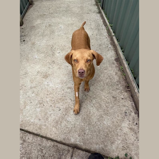 Photo of Milly