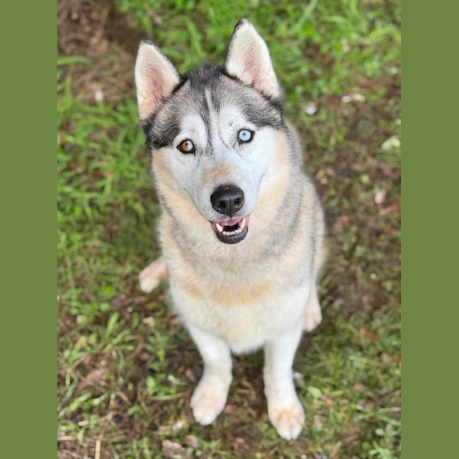Photo of Luna