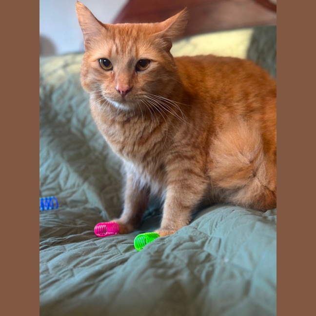 Photo of Barry