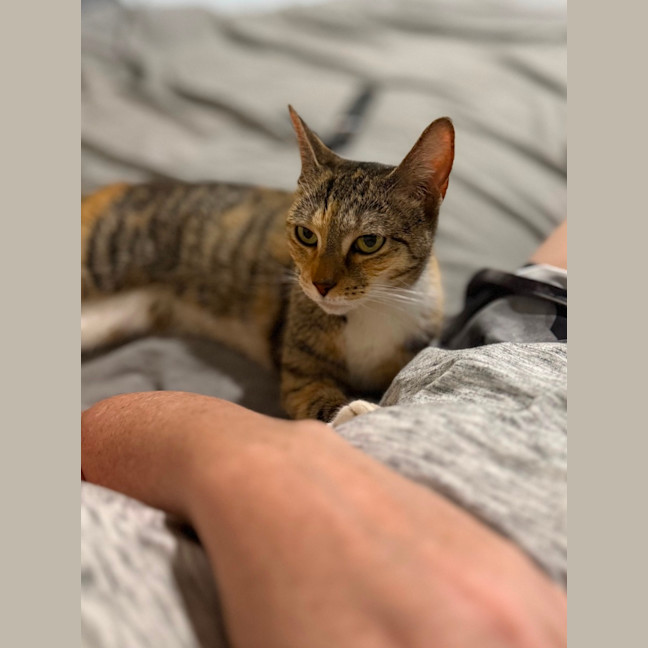 Photo of Calyssa 