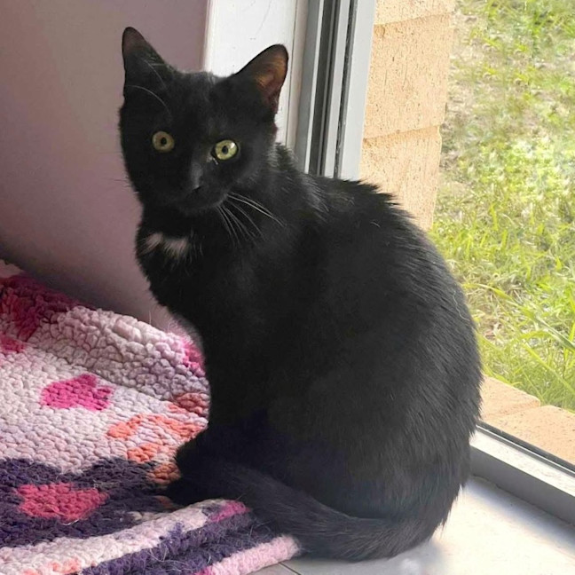 Photo of 12272   Leela