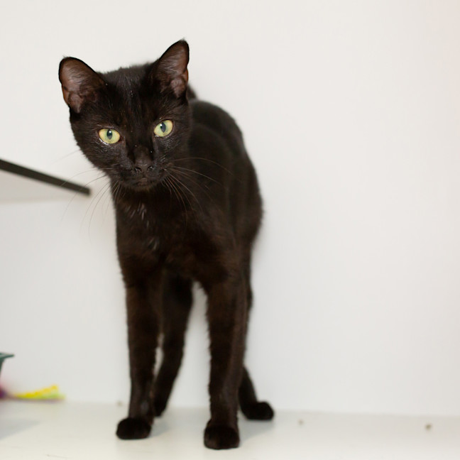 Photo of Mrs. Lovett