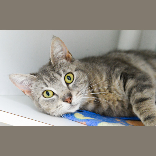 Photo of Mimi