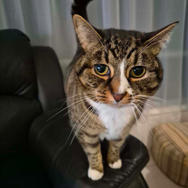 Photo of Toni