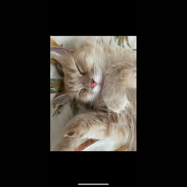 Photo of Lily