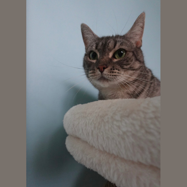 Photo of Kiara