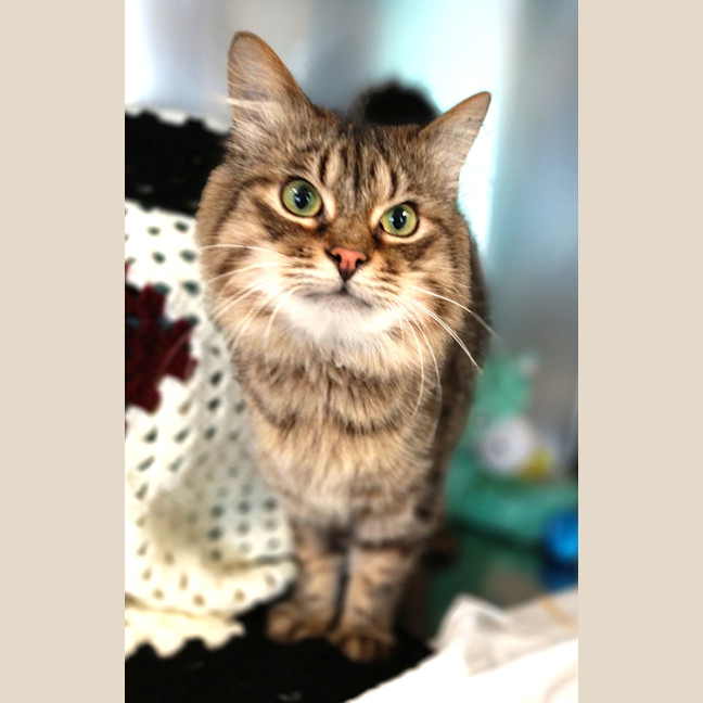 Photo of Marty