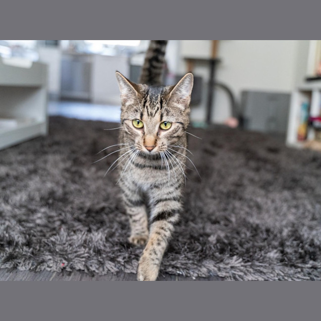 Photo of Eva   Located In Preston