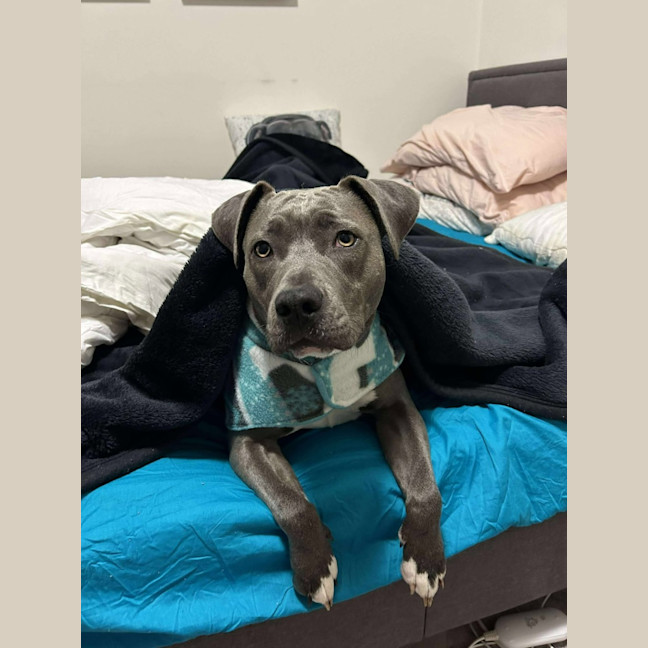 Photo of Bonnie