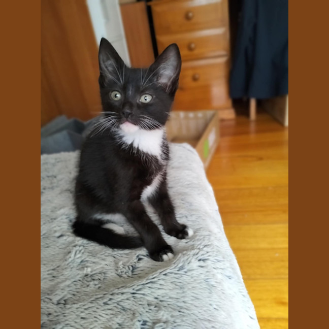 Photo of 🩵 Delilah 🩵