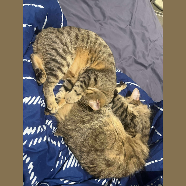 Photo of Fred & Barney