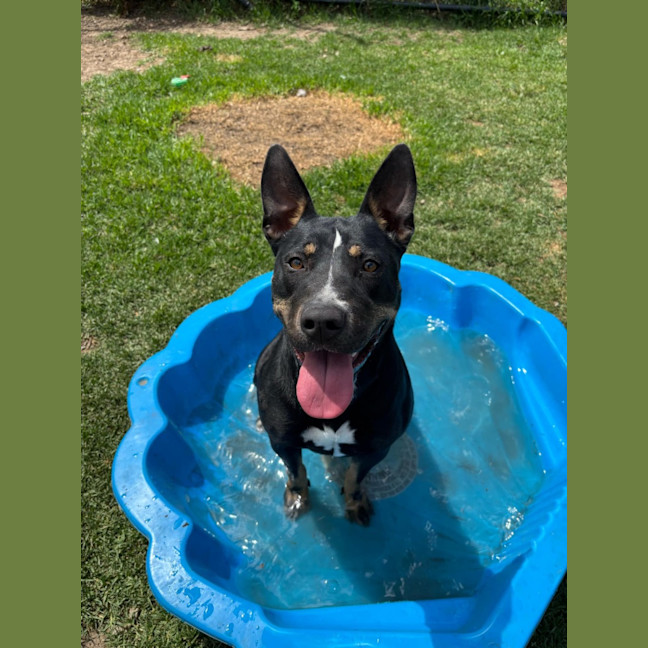 Photo of Rosie Imp 2050