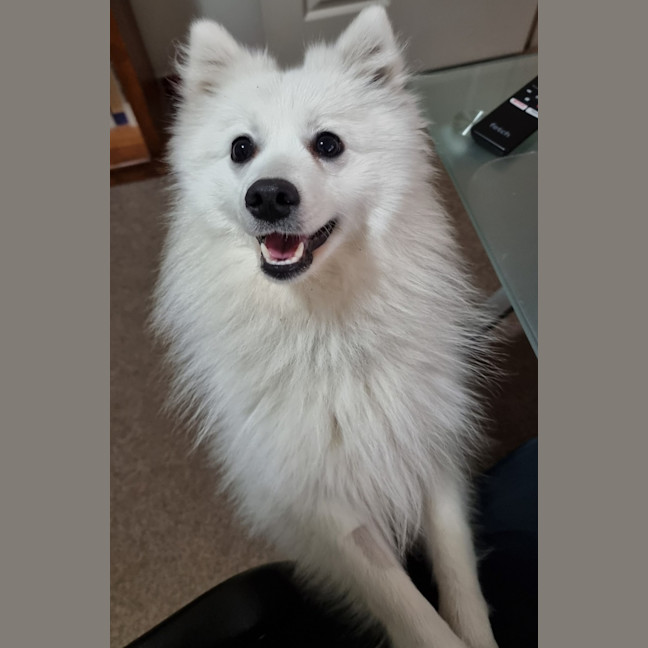 Photo of Tsuki