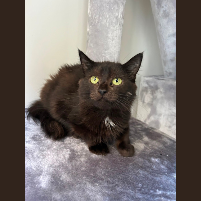 Photo of Harper 🩷 