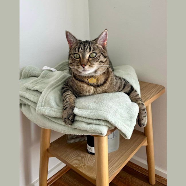 Photo of Ferris & Felix