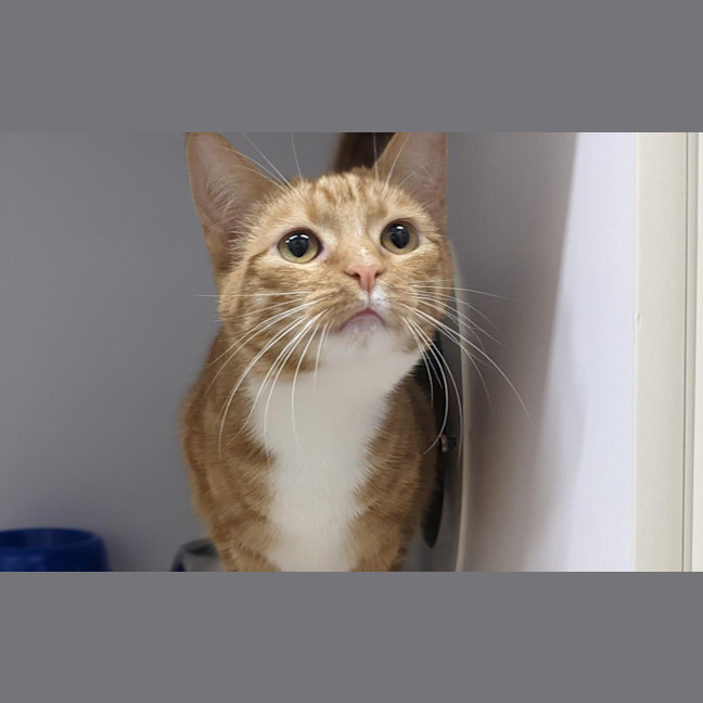 Photo of Jemima