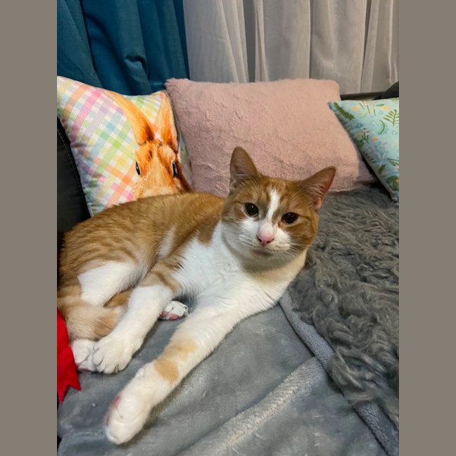 Photo of Mojo