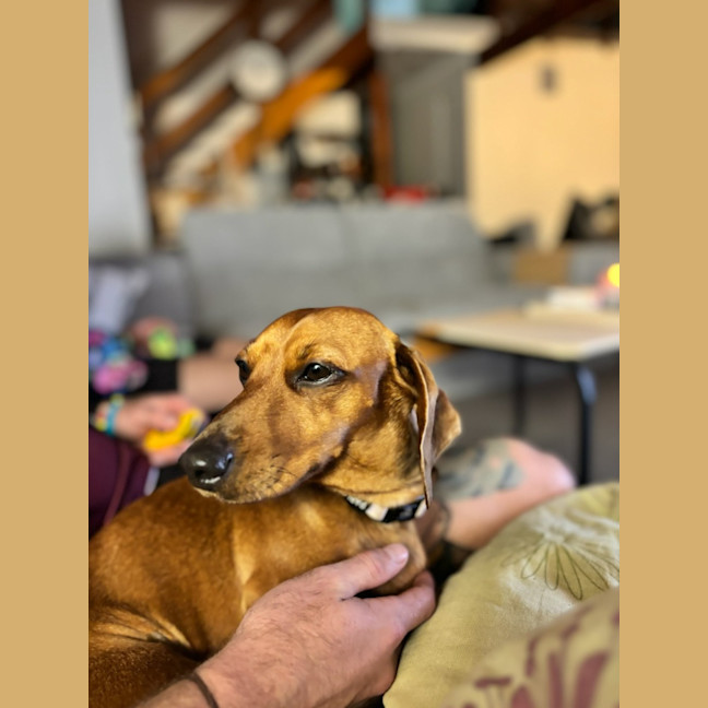 Photo of Sapphire 
