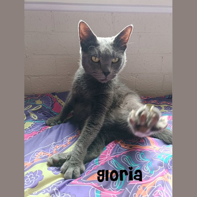 Photo of Gloria