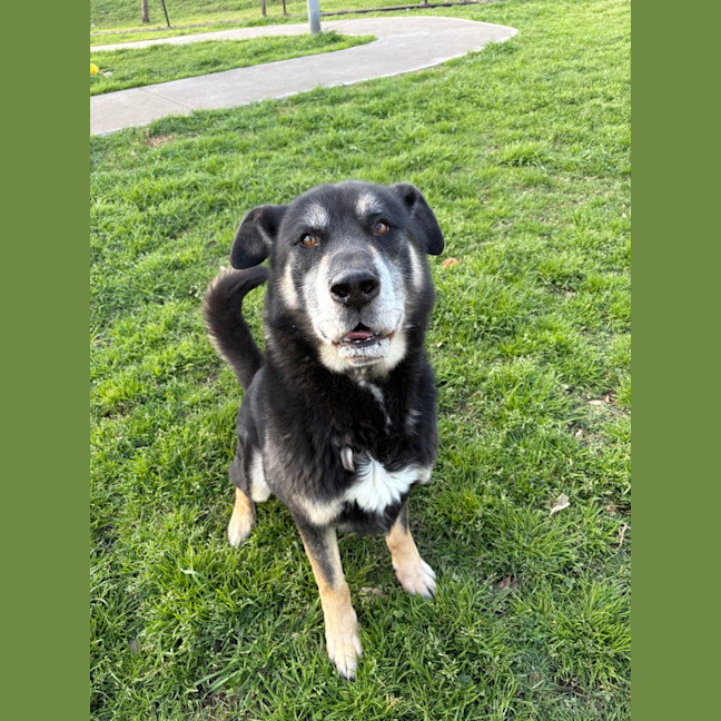 Photo of Zeus 