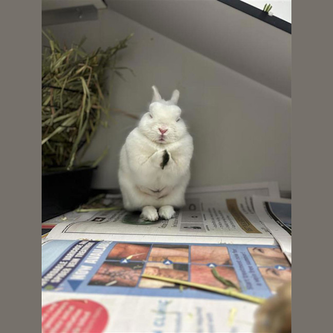 Photo of Baby Cloud