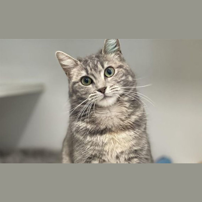 Photo of Maggie