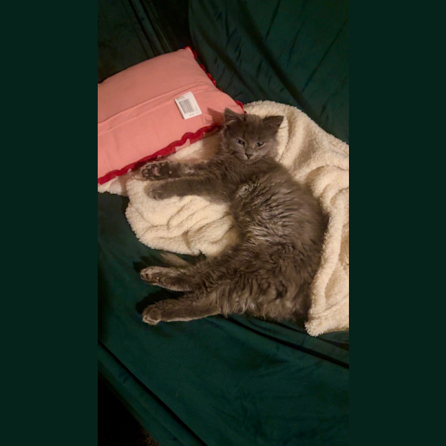 Photo of Lenny & Stormy