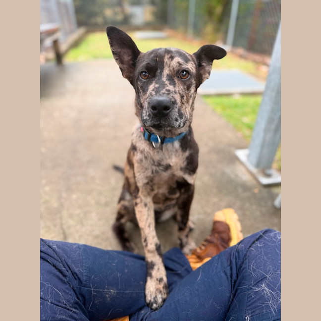 Photo of Hattie
