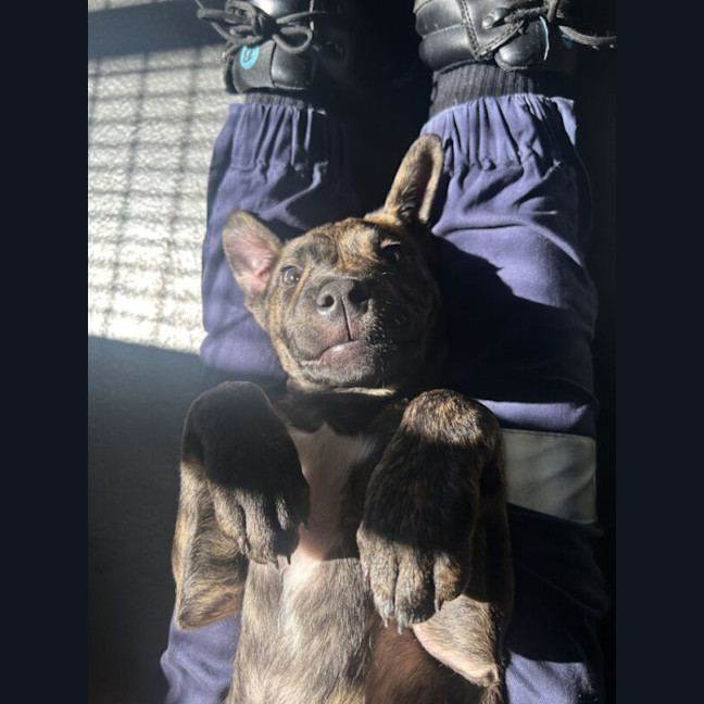 Photo of Bruce