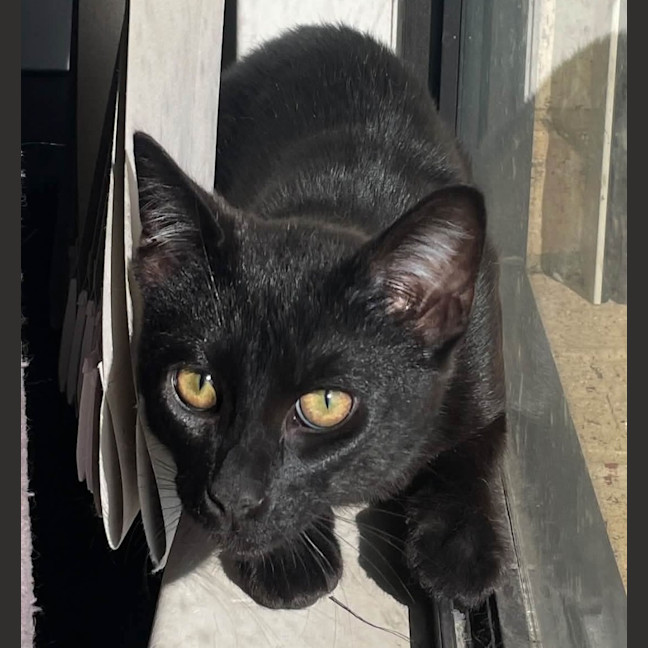 Photo of Sammy