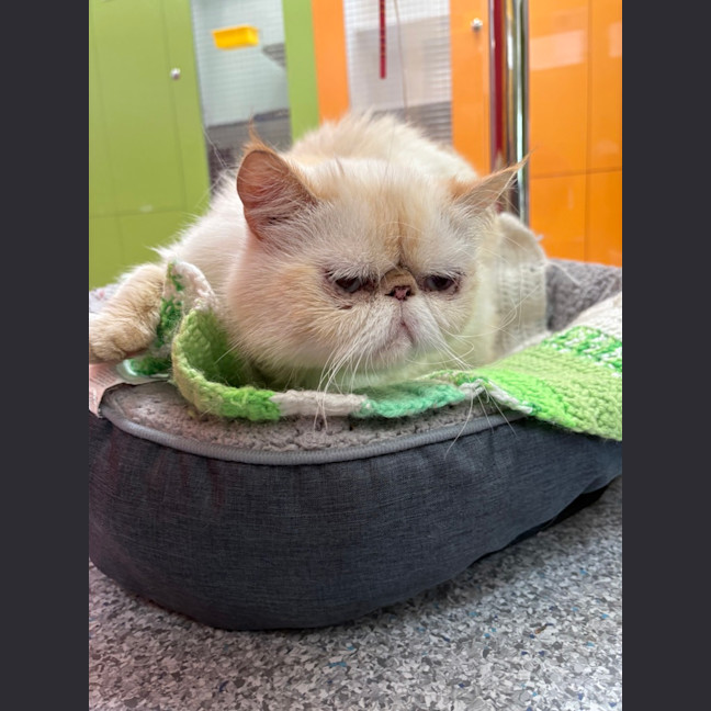 Photo of Phillip Dartnall 