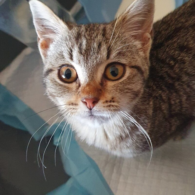 Photo of Mei Mei
