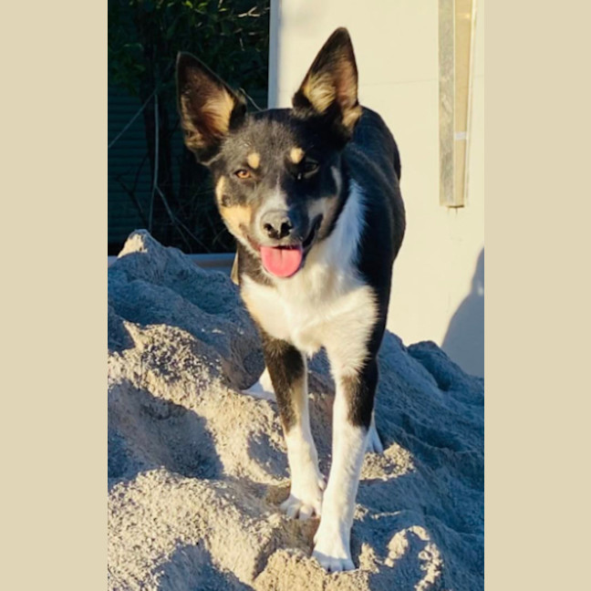 Photo of Pg (Pretty Girl)